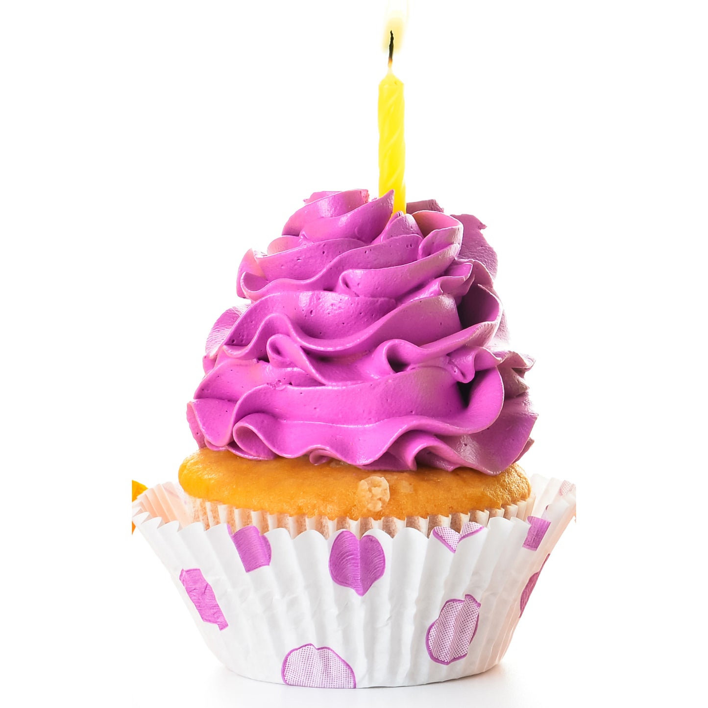 Cupcake PURPLE